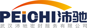 武汉沛驰密封服务有限公司